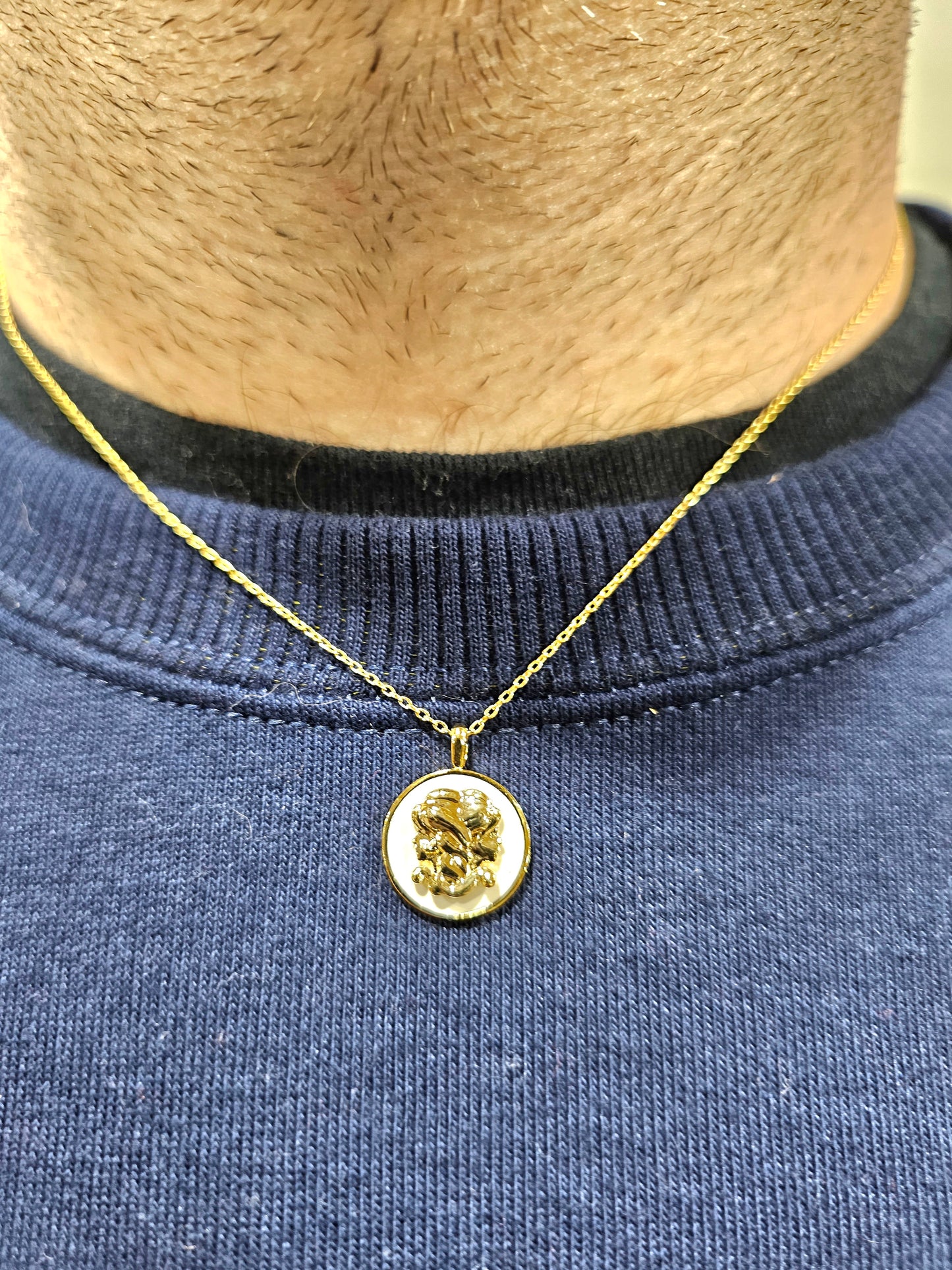 Zodiac Coin Pendant (Astrology Necklace)